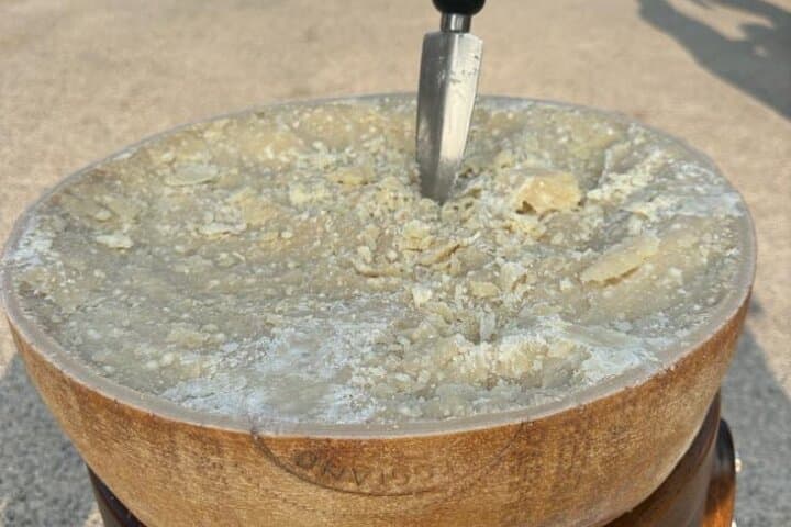 Tour di un giorno intero tra Slow Food e Ferrari da Bologna