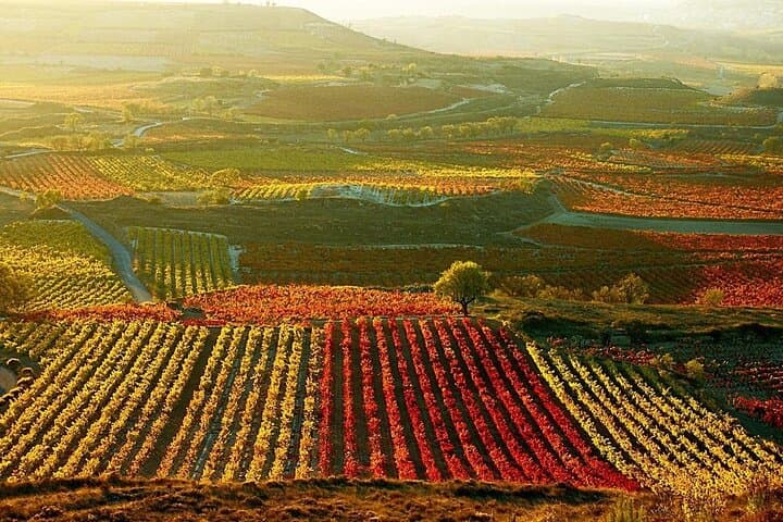 Weinregion Rioja mit Weingutsbesuch & Vitoria-Gasteiz