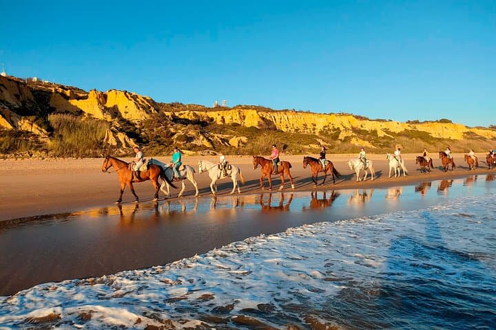 Balade à cheval dans le parc national de Doñana et visite d'El Rocio