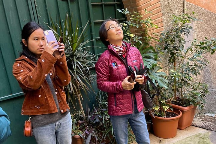 Tour a pie por el Casco Antiguo y la Colina del Castillo en Niza — foto 4