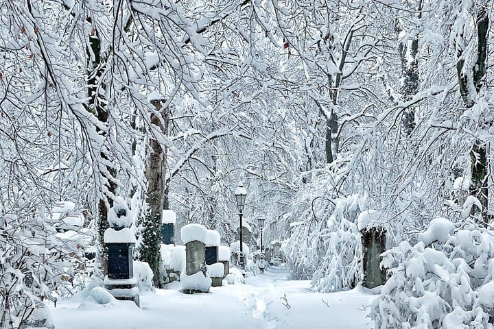 Tod und Schokolade: Geführte Wanderung durch Münchens Alten Südfriedhof — Foto 4