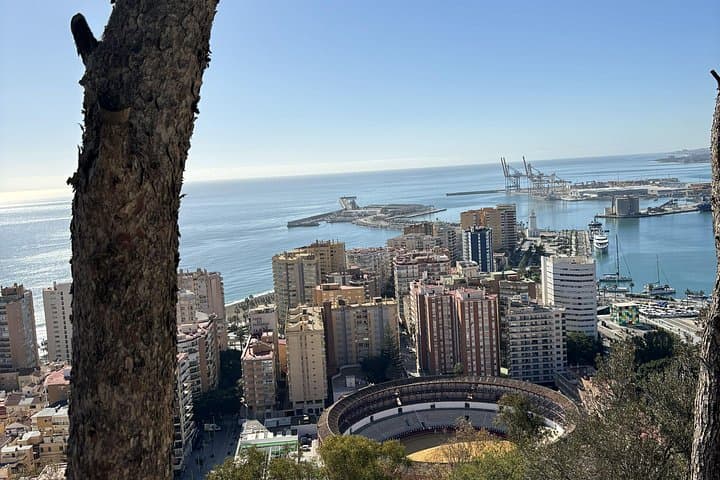 Punti salienti di Malaga in auto elettrica con prelievo dal porto — foto 5
