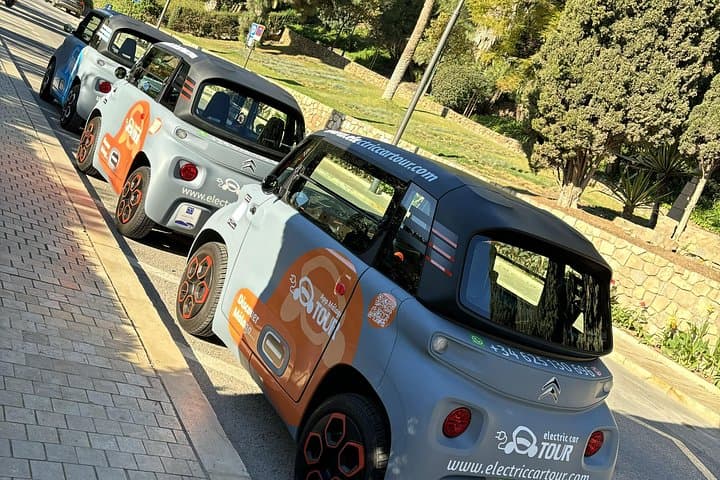 Punti salienti di Malaga in auto elettrica con prelievo dal porto — foto 4