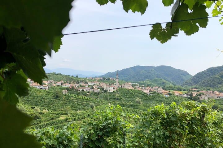 Prosecco Hills Wein- und Käse-Gourmetentdeckung — Foto 4