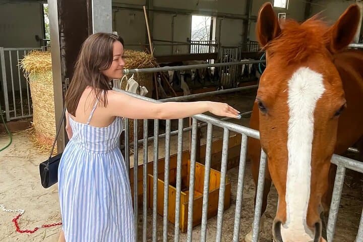 EXPÉRIENCE EN FERME & DOZZA - Visite Privée d'une Journée Depuis Bologne — photo 5