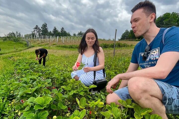 EXPÉRIENCE EN FERME & DOZZA - Visite Privée d'une Journée Depuis Bologne — photo 2