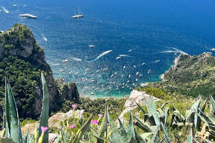 Tour di Gruppo Ridotto da Roma alla Grotta Azzurra, Anacapri e Capri — foto 3