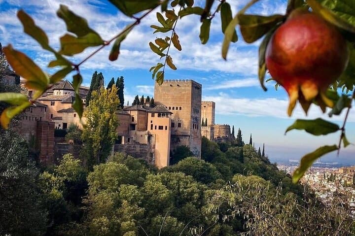Luxus Privatführung durch die Alhambra und den Generalife von Malaga