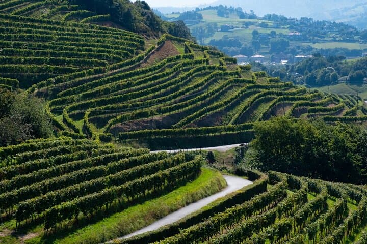 Private Tour von San Sebastián und Getaria mit Txakoli-Verkostung