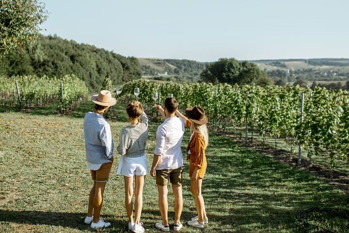 Private Tour von San Sebastián und Getaria mit Txakoli-Verkostung — Foto 2