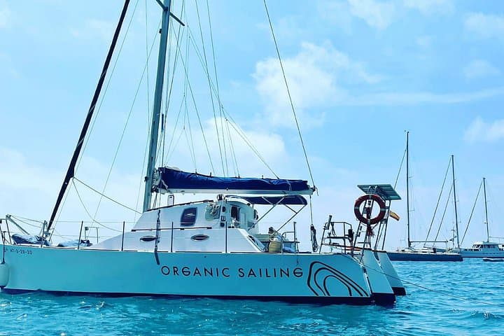 Escursione di un giorno intero a Ibiza e Formentera a bordo del nostro Catamarano — foto 2
