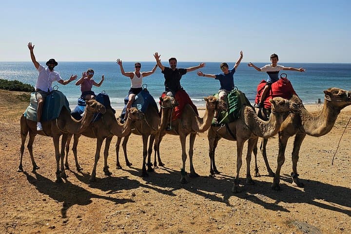 Private Tour: Tagestour durch Gibraltar und Marokko, Tanger von Sevilla