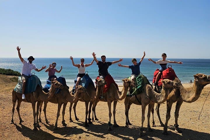 Private Tagestour nach Gibraltar und Tanger, Marokko von Malaga — Foto 2