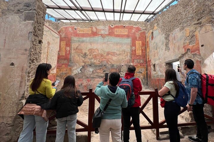 Tour Firmato del Vesuvio e Pompei: Vino e Pranzo da Napoli — foto 5