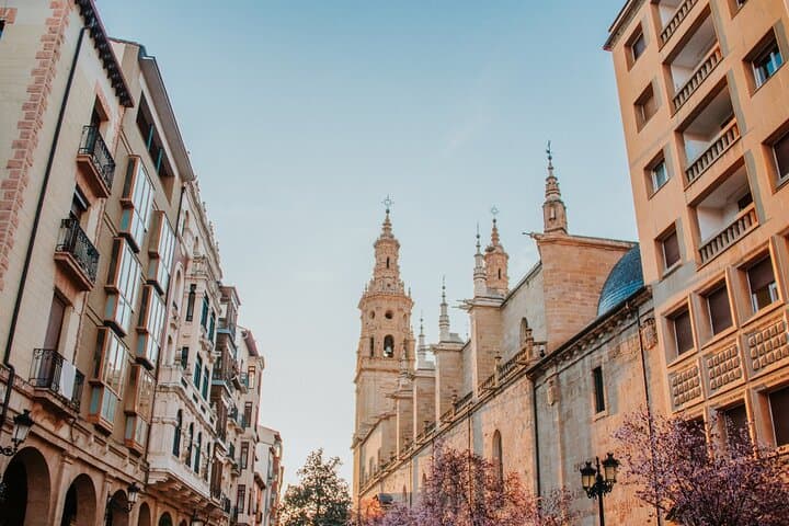 Visite Privée de Logroño et de Deux Vignobles depuis Saint-Sébastien — photo 2