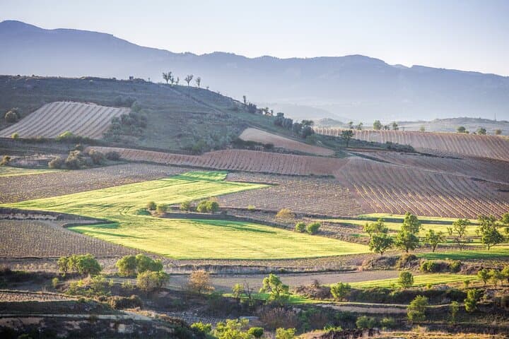 Visite Privée de Logroño et de Deux Vignobles depuis Saint-Sébastien