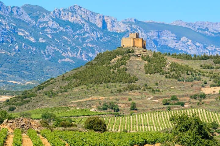 Visite Privée de La Rioja à 3 caves depuis Saint-Sébastien — photo 2
