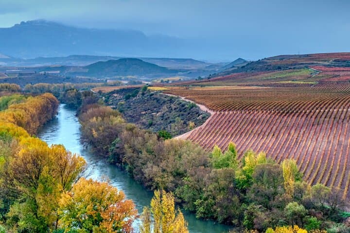 Visite Privée de La Rioja à 3 caves depuis Saint-Sébastien — photo 5