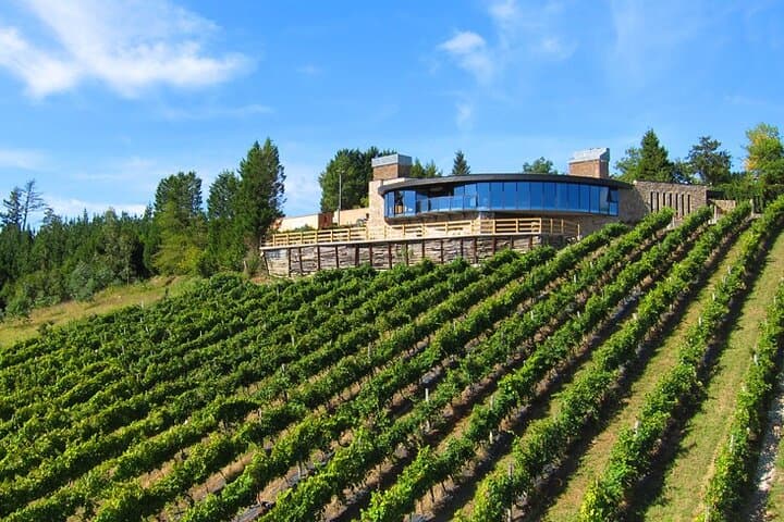 Txakoli-Weintour ab Bilbao — Foto 2