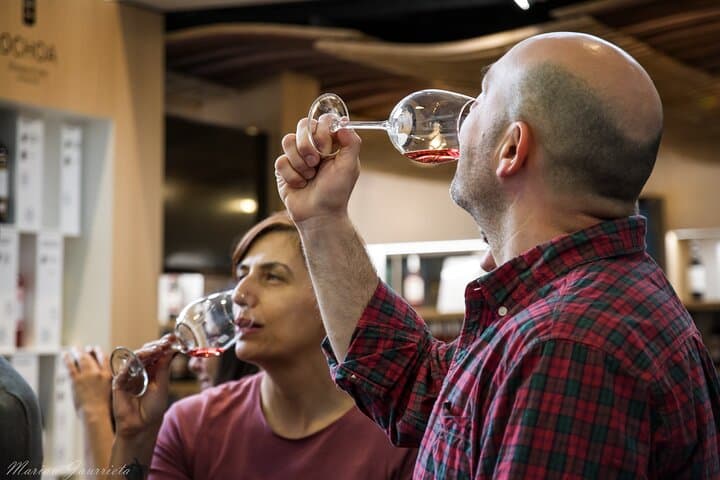 Tour privato del vino Rioja da Bilbao — foto 3