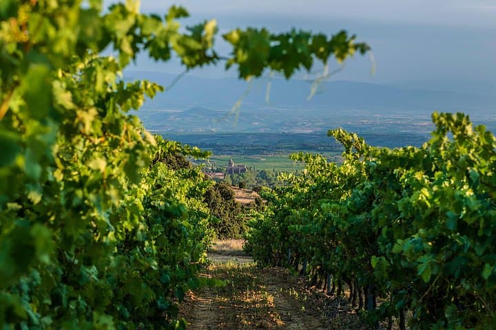 Wein- und Laguardia-Tour in La Rioja ab Bilbao — Foto 4