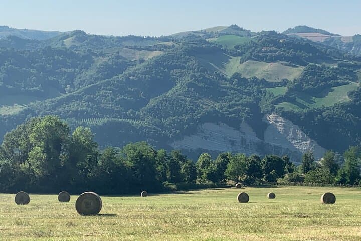 EXPÉRIENCE EN FERME & DOZZA - Visite Privée d'une Journée Depuis Bologne — photo 4