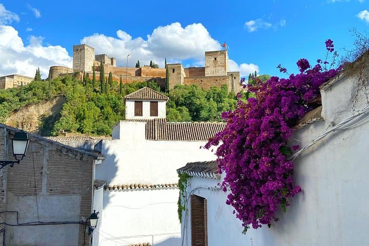 Granada Esencial: Tour Privado por el Albaicín y el Centro + Cata de Aceite — foto 2