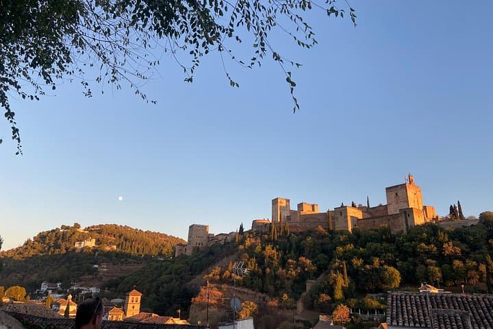Granada Esencial: Tour Privado por el Albaicín y el Centro + Cata de Aceite
