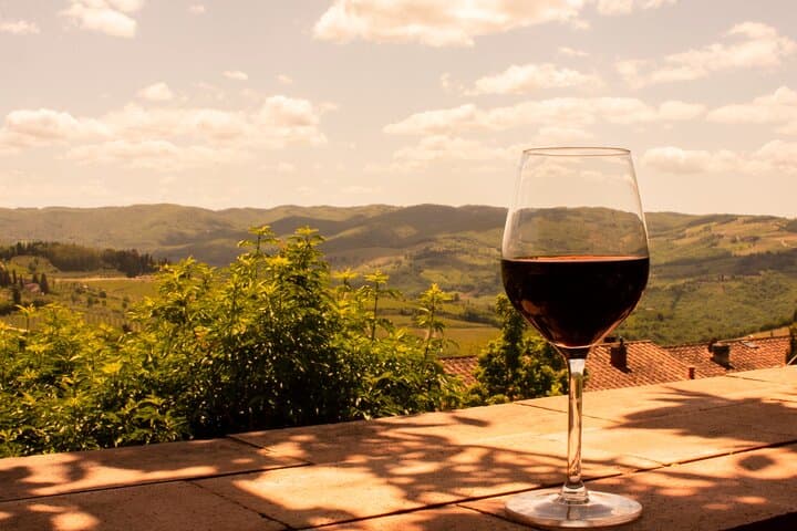 Privater Wein Tour Grape Escape Rheintal von Frankfurt — Foto 2