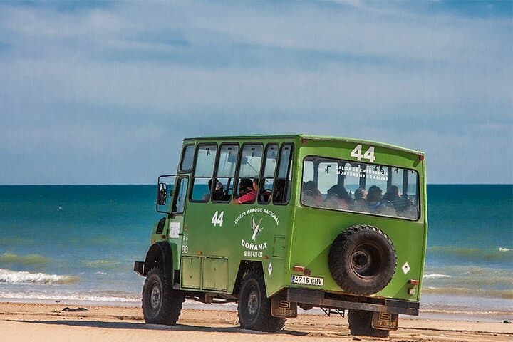 Tour 4x4 por Doñana y El Rocío