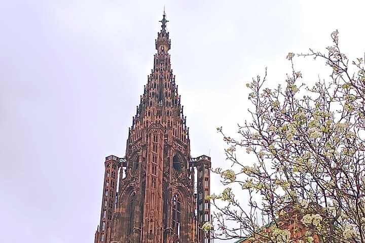 Visites Guidées de la Cathédrale de Strasbourg — photo 2