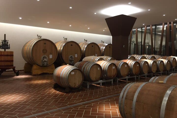 Dégustation de 6 vins rosés et blancs à Bardolino — photo 5