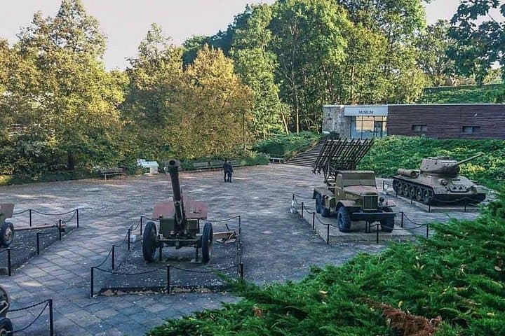 Battaglia per le Altezze di Seelow 1945 — foto 2