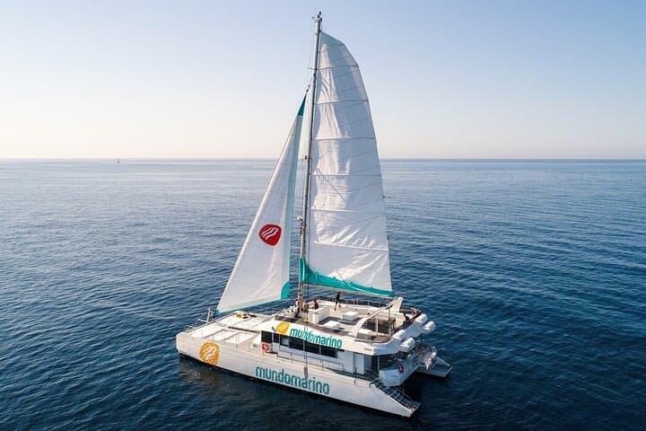 Bay of Malaga Catamaran Sailing — photo 1