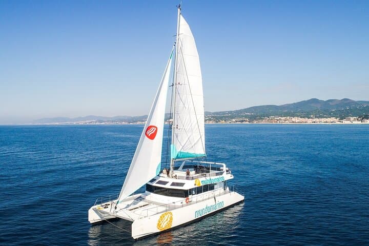 Bay of Malaga Catamaran Sailing — photo 4