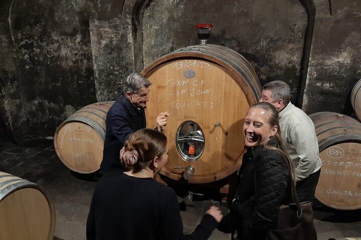 Priorat-Tour zu 3 kleinen Weingütern und Hotelabholung