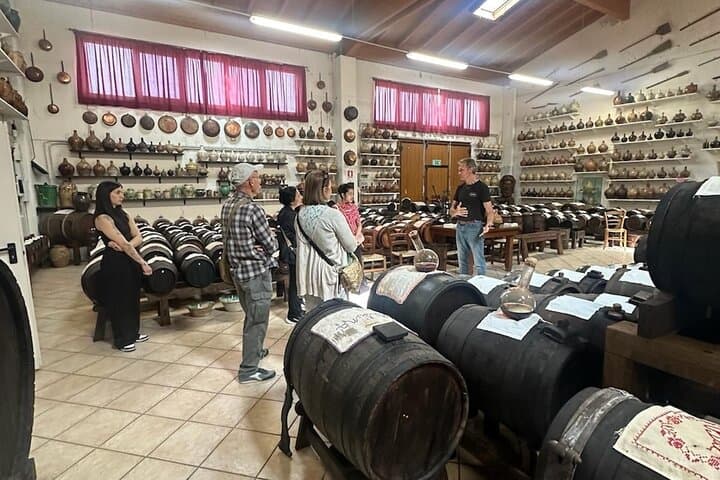 Visite gastronomique du Parmesan et du Balsamique avec le Musée Ferrari — photo 3