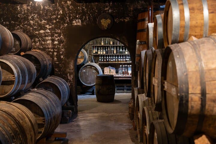 Percorso del vino in Savoia da Lione — foto 2