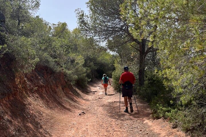 Tours guiados de senderismo en Ibiza — foto 3