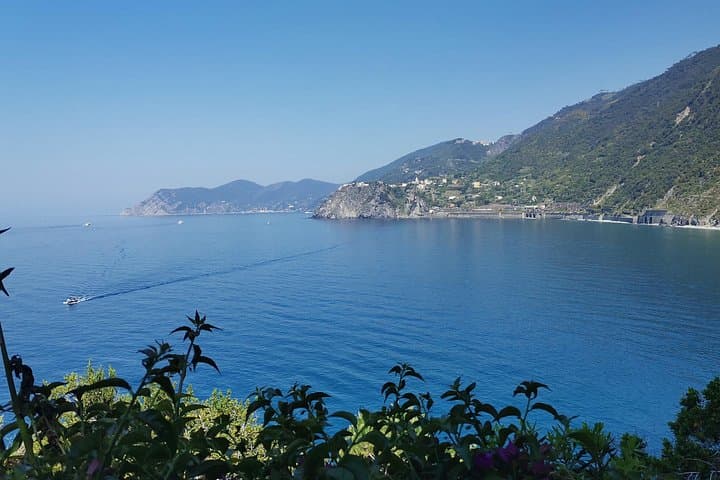 Tour di Gruppo Ridotto nella Cinque Terre e Pisa da Firenze — foto 4