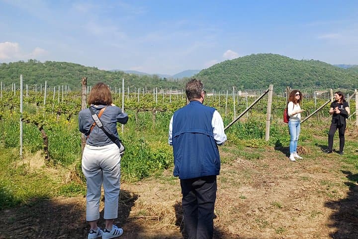 Tour zum Lago Iseo & Franciacorta Weingut — Foto 5