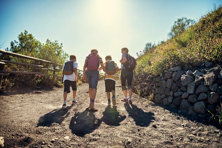 Tour Firmato del Vesuvio e Pompei: Vino e Pranzo da Napoli