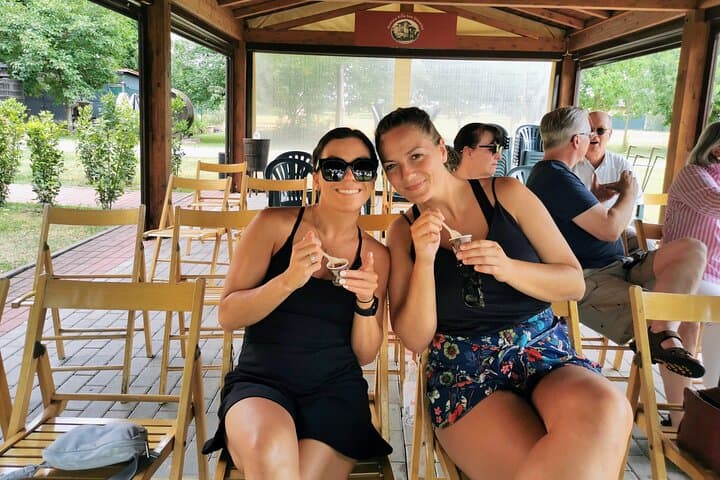 Parmigiano, Prosciutto und Traditionelle Balsamico-Tour ab Bologna — Foto 5