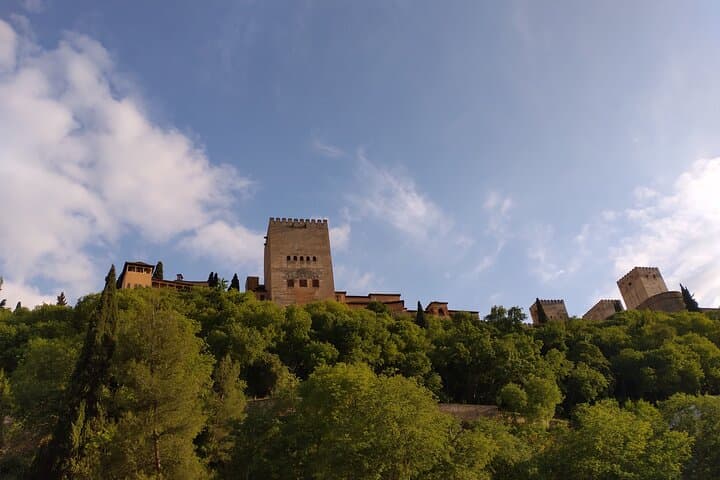 Tour Privado a la Alhambra con Guía (entradas no incluidas) — foto 4