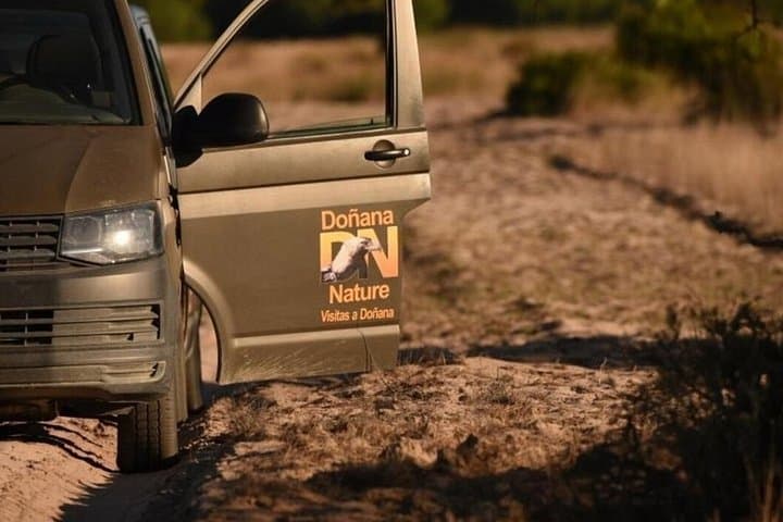 Tour del Parco Nazionale di Doñana con Focus sul Gatto Selvatico Iberico — foto 4