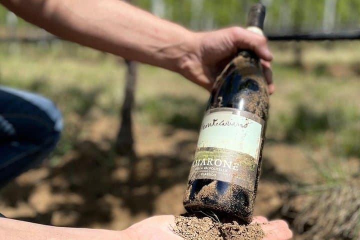 Weinprobe und Besichtigung in Valpolicella