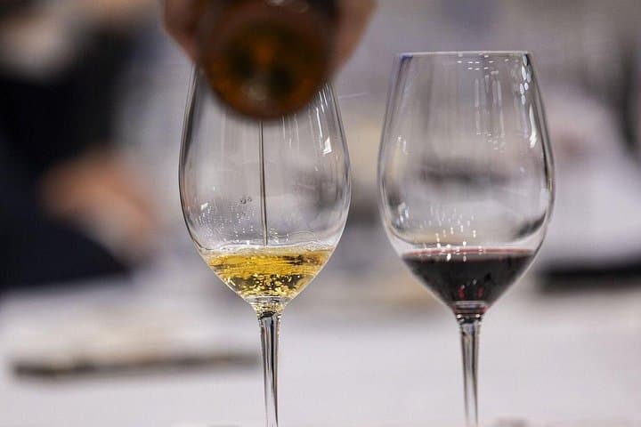 Dégustation de vins et tapas privée à Valence avec un sommelier — photo 4