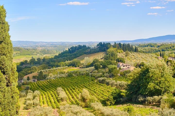 Private Tuscany Tour von Florenz einschließlich Siena, San Gimignano und der Chianti-Weinregion