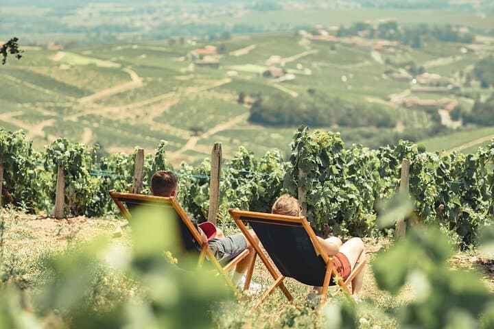 Privater Halbtages-Wein-Tour von Lyon im Beaujolais — Foto 3