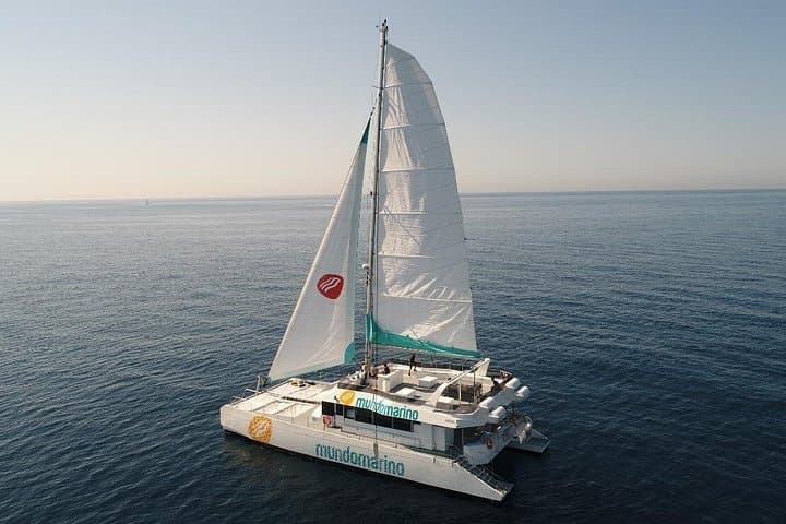 Tour in Catamarano con sosta per nuotare a Malaga